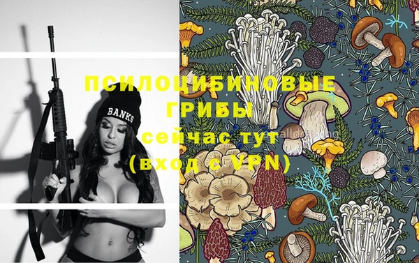 крисы Вяземский