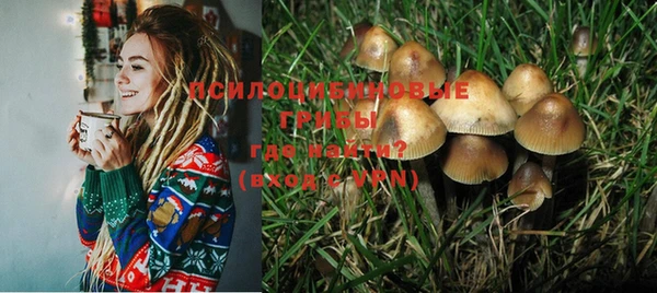 крисы Вяземский