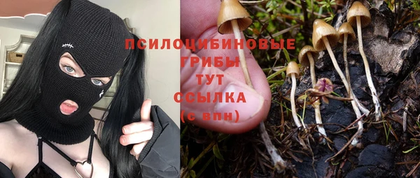 прущая мука Вязьма