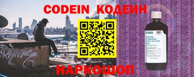 ешки Кингисепп