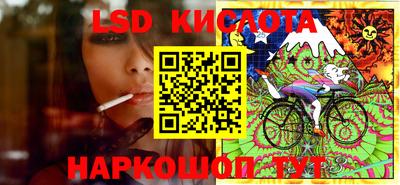 ешки Кингисепп