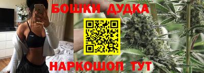ешки Кингисепп