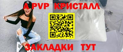 ешки Кингисепп