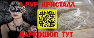 ешки Кингисепп