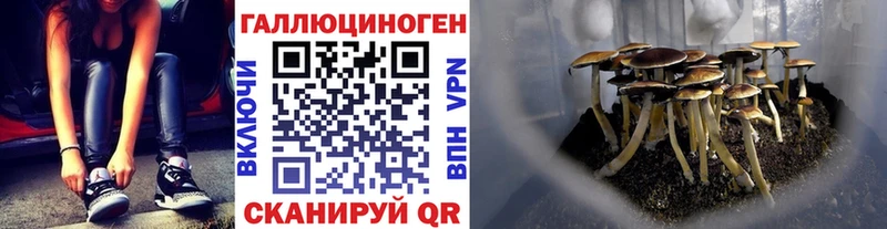 Галлюциногенные грибы GOLDEN TEACHER  наркотики  KRAKEN   площадка официальный сайт  Назарово 