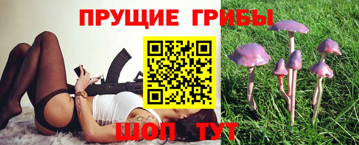 дарнет шоп  Назарово  Галлюциногенные грибы Cubensis 