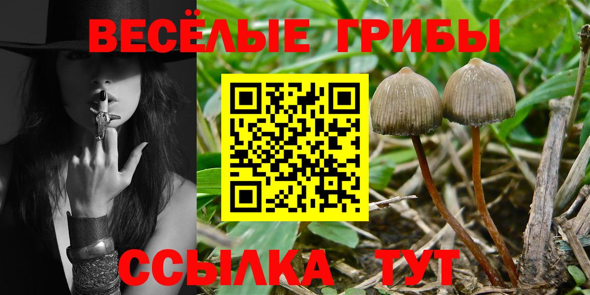 Галлюциногенные грибы прущие грибы  где найти наркотики  Вход с VPN  Назарово  Галлюциногенные грибы Cubensis 